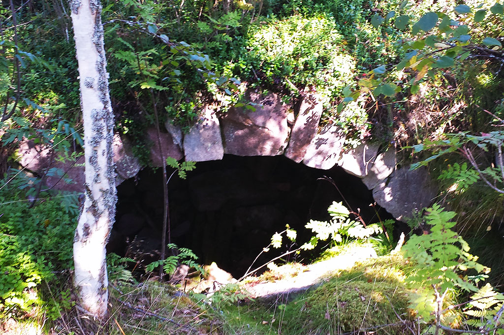 Kulturminnesvård